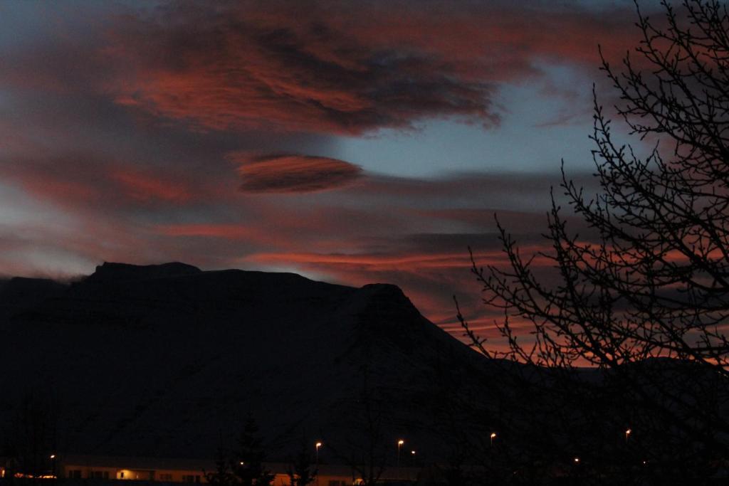 Hotel Austur Reydarfjordur ภายนอก รูปภาพ